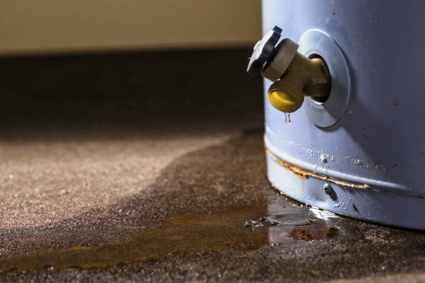 Best Basement water damage restoration  in Montesano, WA
