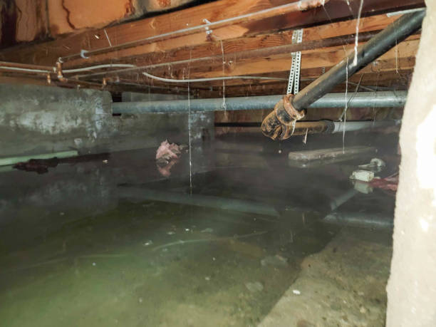 Best Emergency water damage restoration  in Montesano, WA