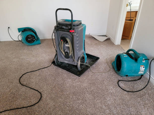 Best Flooded house restoration  in Montesano, WA
