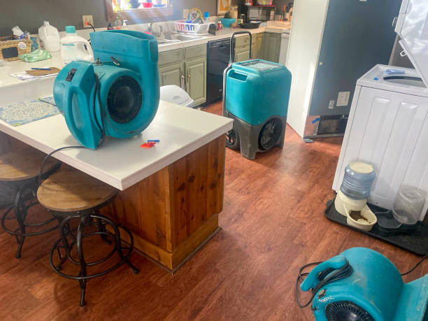 Best Water damage restoration near me  in Montesano, WA
