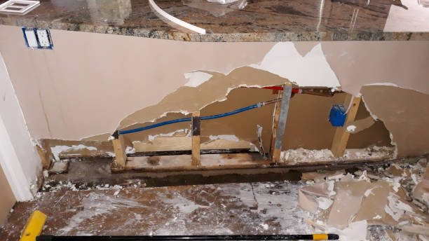 Best Flood restoration services  in Montesano, WA