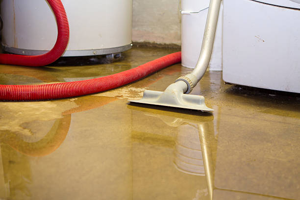 Best Sewage cleanup and water damage restoration  in Montesano, WA