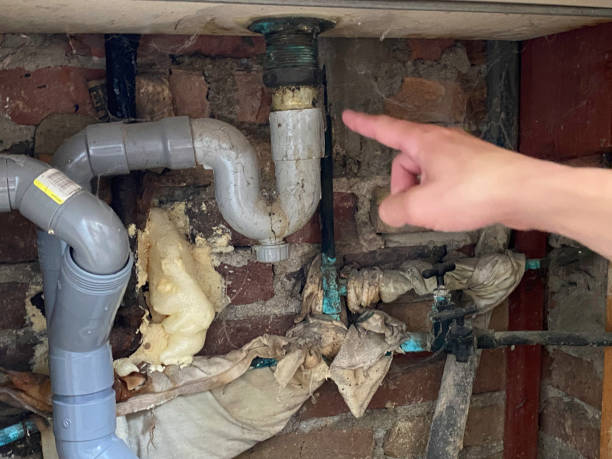  Montesano, WA Water damage restoration Pros