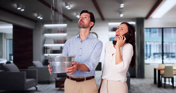 Best Flood damage cleanup  in Montesano, WA