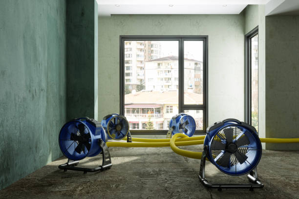 Best Carpet water damage restoration  in Montesano, WA
