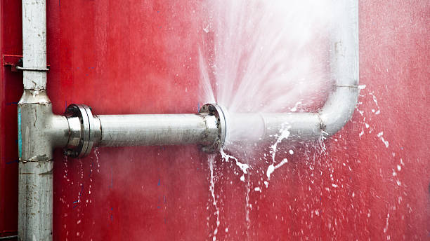 Best Water damage restoration mold remediation  in Montesano, WA